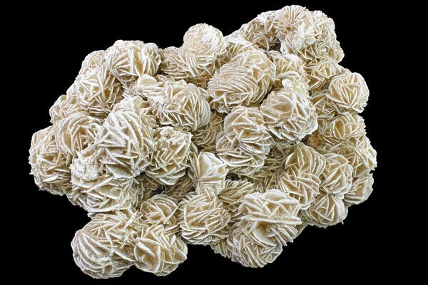 Shop Selenite Roses (Desert Rose)